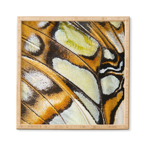 Emanuela Carratoni Butterfly Texture Framed Wall Art