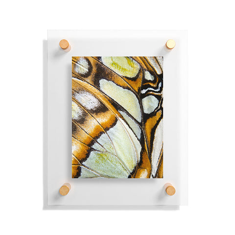 Emanuela Carratoni Butterfly Texture Floating Acrylic Print