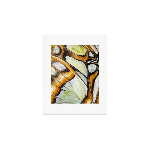 Emanuela Carratoni Butterfly Texture Art Print