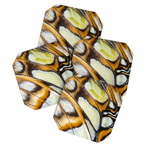 Emanuela Carratoni Butterfly Texture Coaster Set