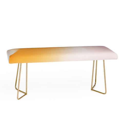 Emanuela Carratoni Cancer Zodiac Sign Gradient Bench