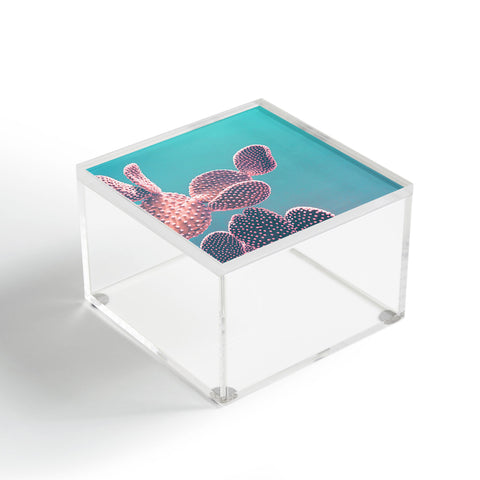 Emanuela Carratoni Candy Cactus Acrylic Box