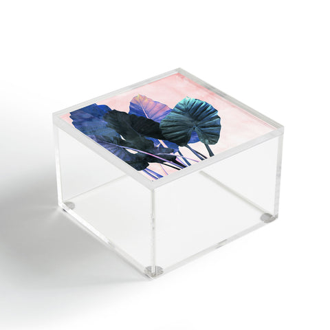 Emanuela Carratoni It is a Jungle Acrylic Box