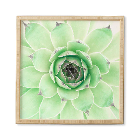 Emanuela Carratoni Mint Succulent Framed Wall Art