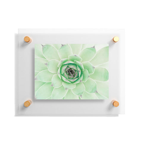 Emanuela Carratoni Mint Succulent Floating Acrylic Print