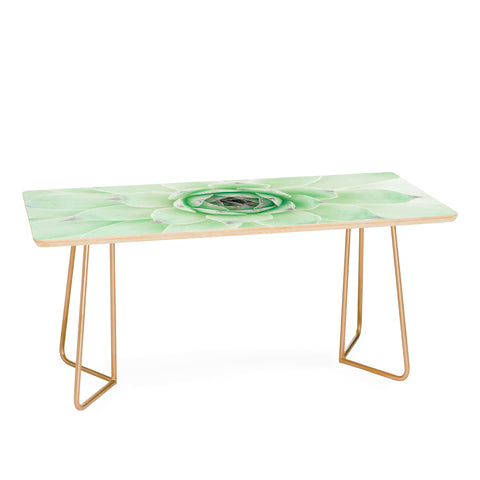 Emanuela Carratoni Mint Succulent Coffee Table