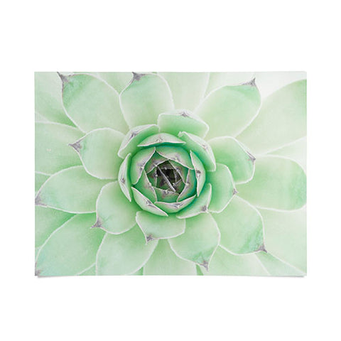 Emanuela Carratoni Mint Succulent Poster