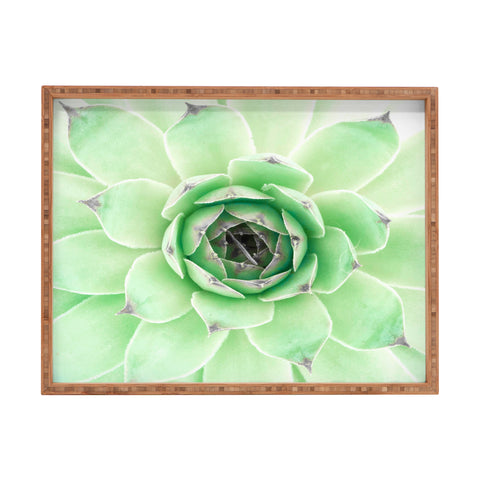 Emanuela Carratoni Mint Succulent Rectangular Tray