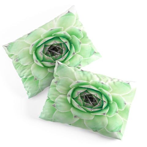 Emanuela Carratoni Mint Succulent Pillow Shams