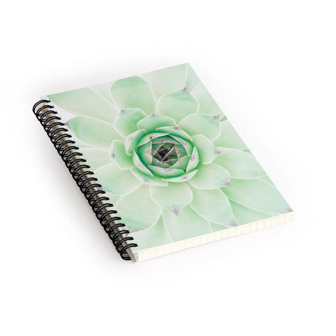 Emanuela Carratoni Mint Succulent Spiral Notebook