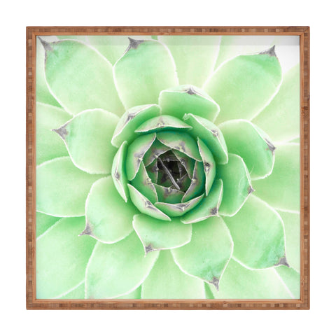 Emanuela Carratoni Mint Succulent Square Tray