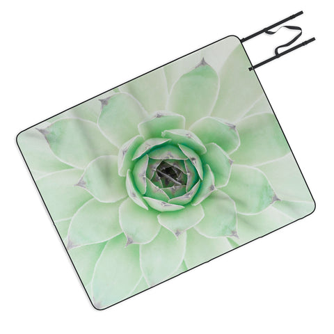 Emanuela Carratoni Mint Succulent Picnic Blanket