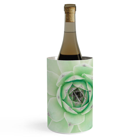 Emanuela Carratoni Mint Succulent Wine Chiller