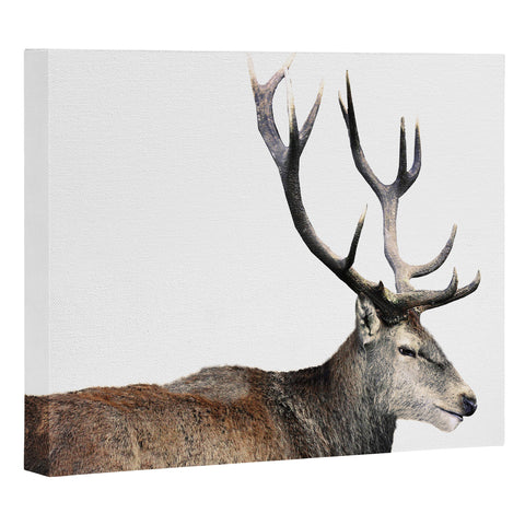 Emanuela Carratoni Oh my Deer Art Canvas