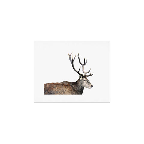 Emanuela Carratoni Oh my Deer Art Print