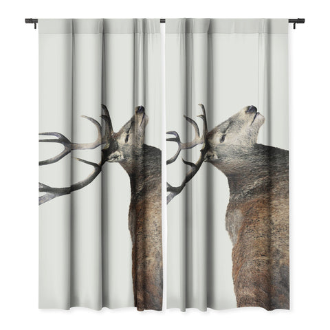 Emanuela Carratoni Oh my Deer Blackout Non Repeat