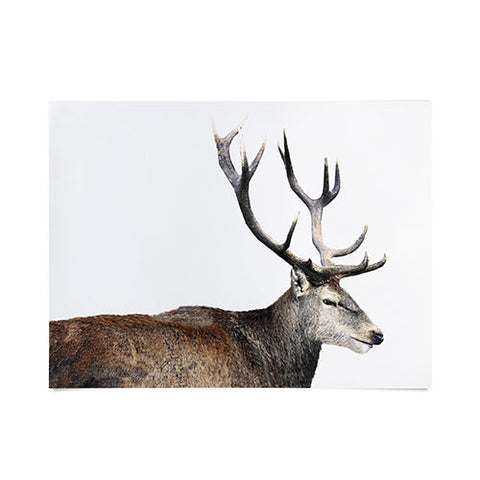 Emanuela Carratoni Oh my Deer Poster
