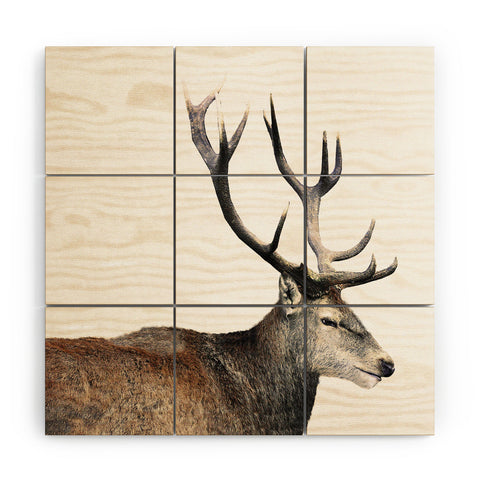 Emanuela Carratoni Oh my Deer Wood Wall Mural