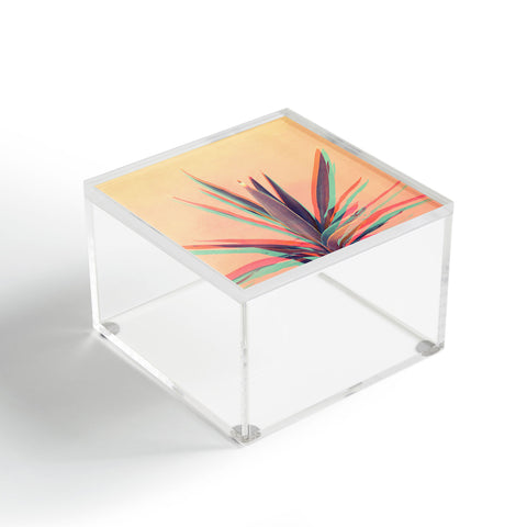 Emanuela Carratoni Palm RGB Acrylic Box