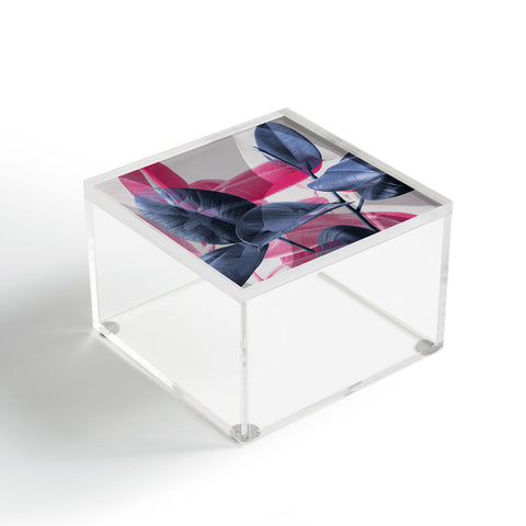 Emanuela Carratoni Shadow Leaves Acrylic Box