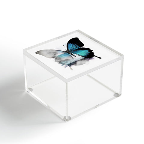 Emanuela Carratoni The Blue Butterfly Acrylic Box