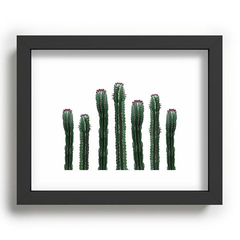 Emanuela Carratoni The Cactus Mood Recessed Framing Rectangle