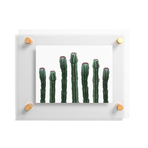 Emanuela Carratoni The Cactus Mood Floating Acrylic Print