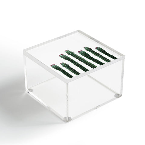Emanuela Carratoni The Cactus Mood Acrylic Box