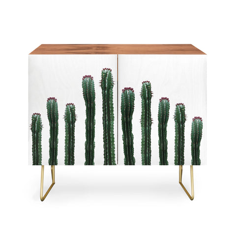 Emanuela Carratoni The Cactus Mood Credenza