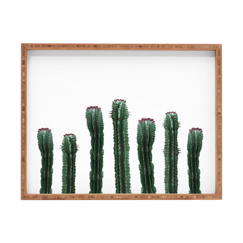 Emanuela Carratoni The Cactus Mood Rectangular Tray