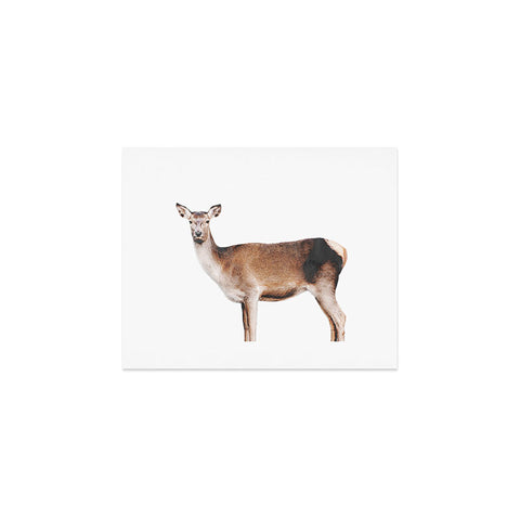 Emanuela Carratoni The Sweet Deer Art Print