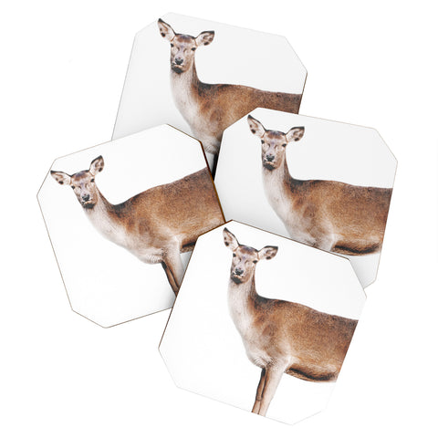 Emanuela Carratoni The Sweet Deer Coaster Set