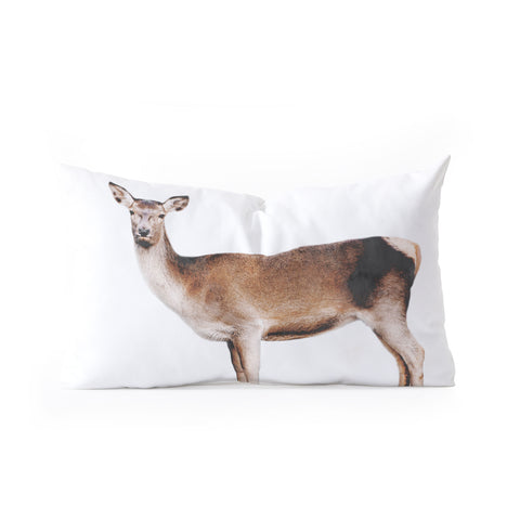 Emanuela Carratoni The Sweet Deer Oblong Throw Pillow
