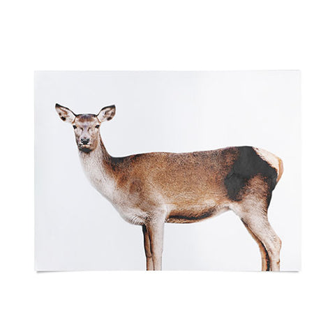 Emanuela Carratoni The Sweet Deer Poster