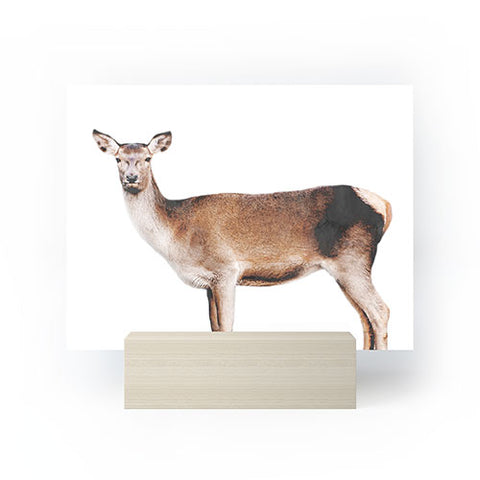 Emanuela Carratoni The Sweet Deer Mini Art Print