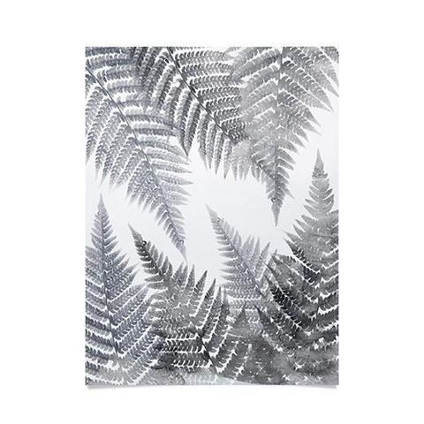 Emanuela Carratoni Watercolor Ferns Poster