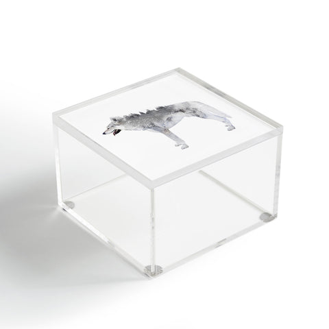 Emanuela Carratoni Winter Wolf 1 Acrylic Box