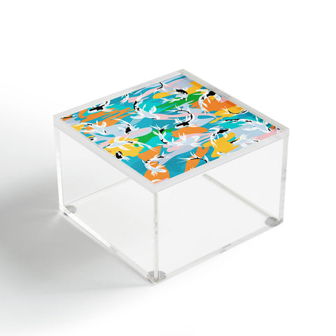 evamatise Pastel Koi Ponds Acrylic Box