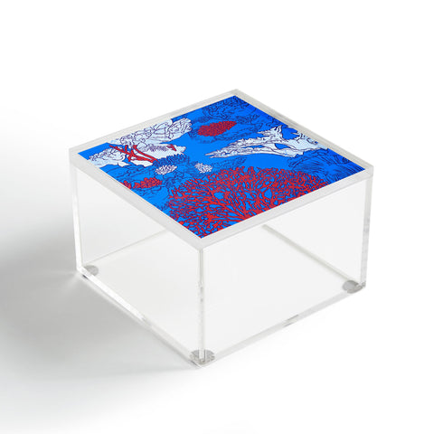 Evgenia Chuvardina Big coral reef Acrylic Box