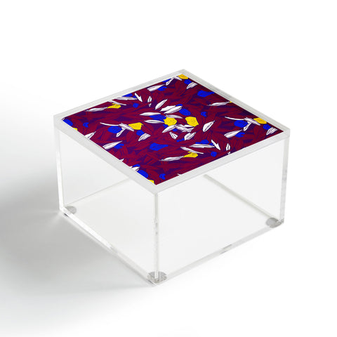Evgenia Chuvardina Colourful seeds Acrylic Box