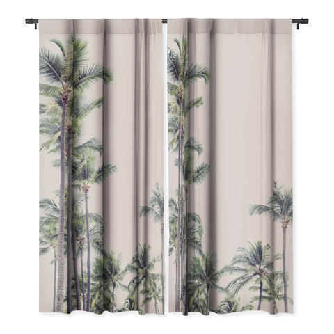 Eye Poetry Photography Palm Trees in La La Land California Blackout Non Repeat