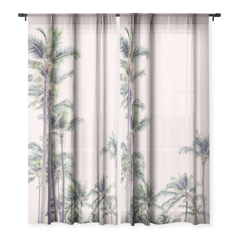 Eye Poetry Photography Palm Trees in La La Land California Sheer Non Repeat