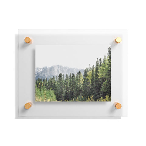 Eye Poetry Photography Treeline Nature and Landscape Floating Acrylic Print