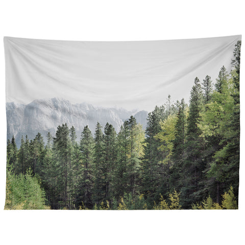 Eye Poetry Photography Treeline Nature and Landscape Tapestry