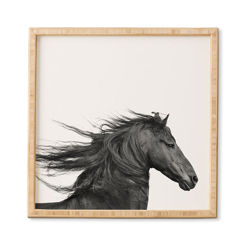 Eye Poetry Photography Wild Horse Photography in Black and White Framed Wall Art