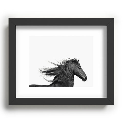 Eye Poetry Photography Wild Horse Photography in Black and White Recessed Framing Rectangle