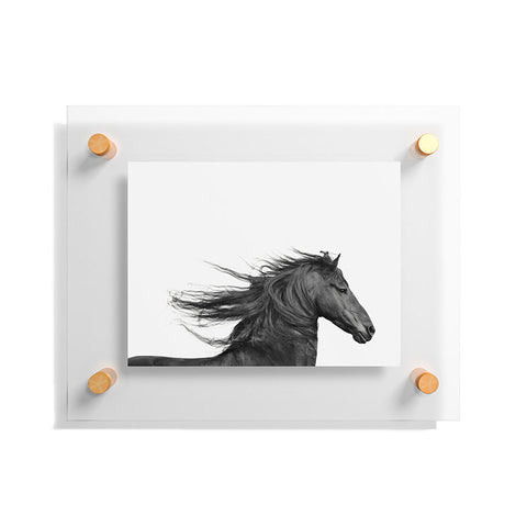 Eye Poetry Photography Wild Horse Photography in Black and White Floating Acrylic Print