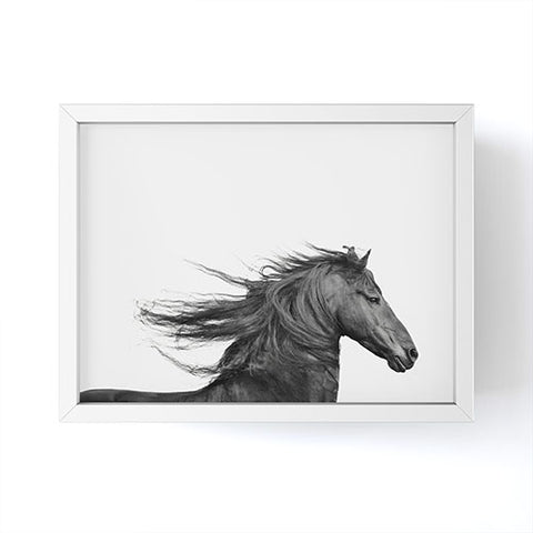 Eye Poetry Photography Wild Horse Photography in Black and White Framed Mini Art Print
