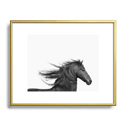 Eye Poetry Photography Wild Horse Photography in Black and White Metal Framed Art Print