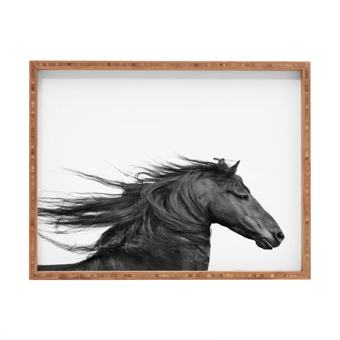 Eye Poetry Photography Wild Horse Photography in Black and White Rectangular Tray